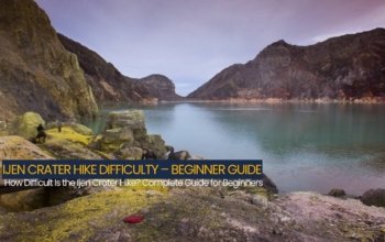 Complete Guide for Beginners