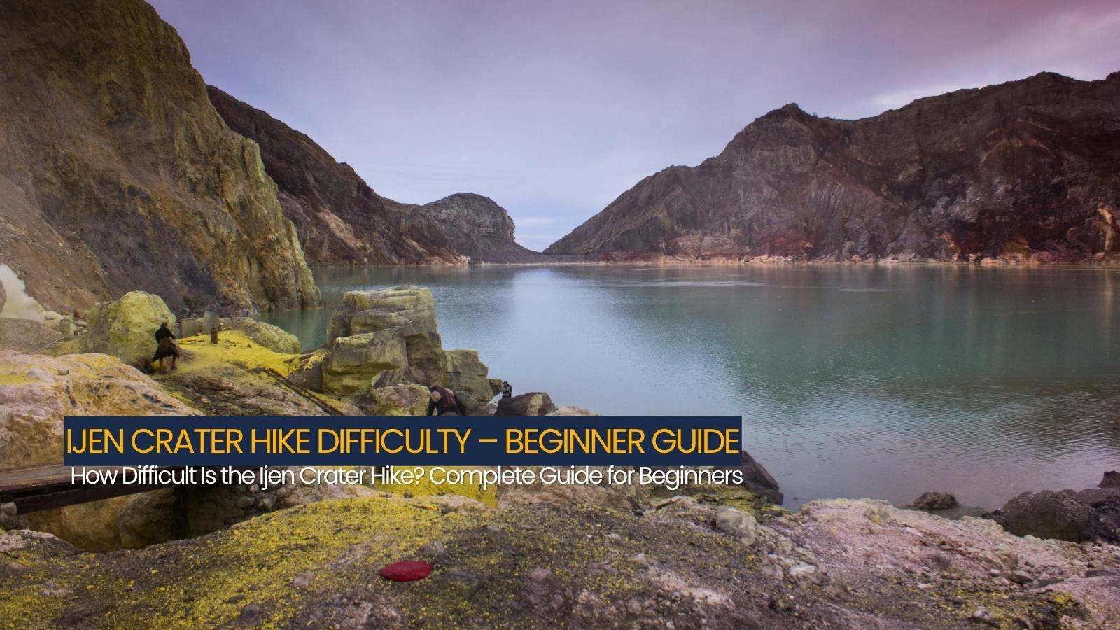 Complete Guide for Beginners