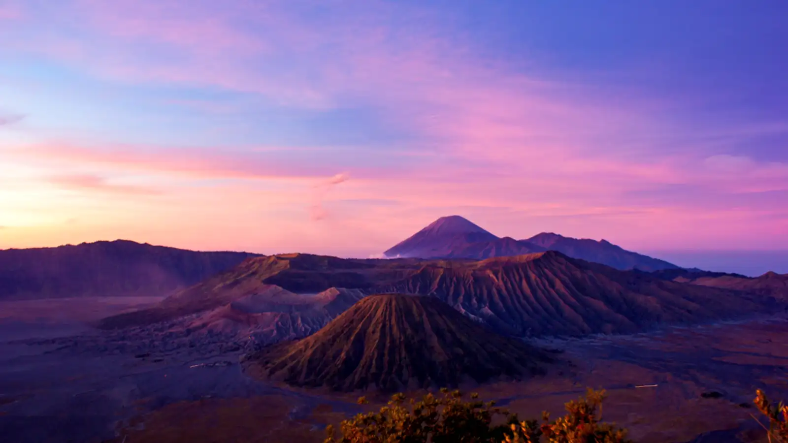 Malang Drop Bali