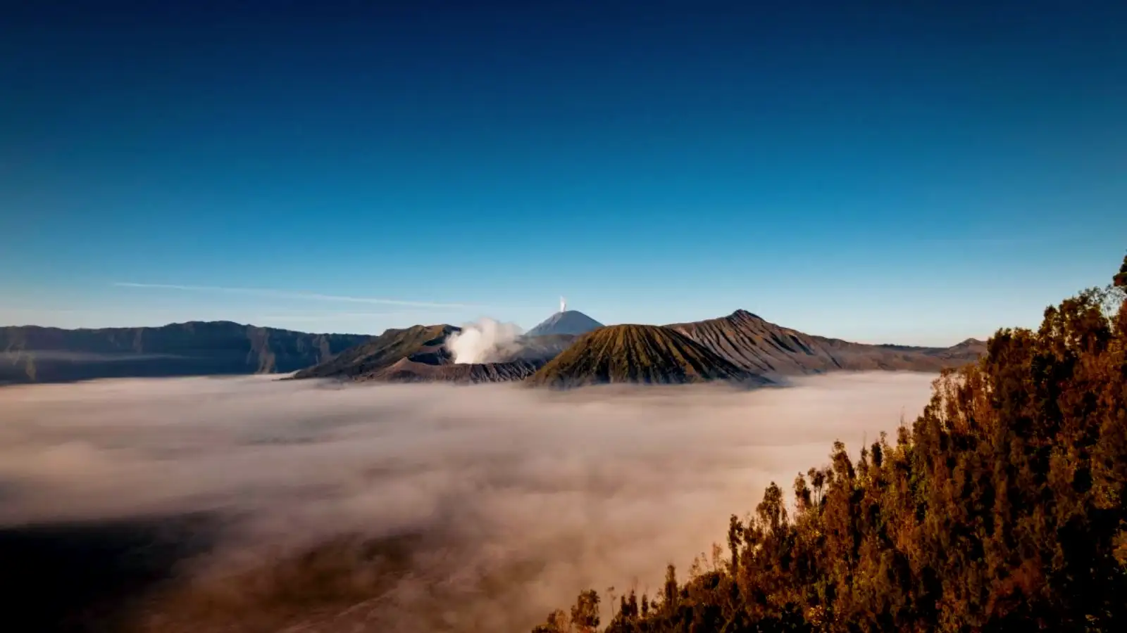 Malang Drop Banyuwangi